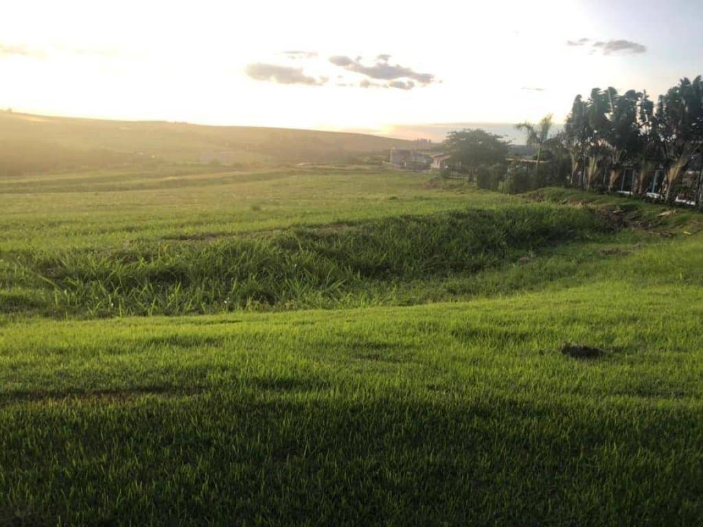 Foto 1 de 8: Terreno em leilão em Sertanópolis - PR — Lote, Padrão, 0 Vaga(S) de Garagem