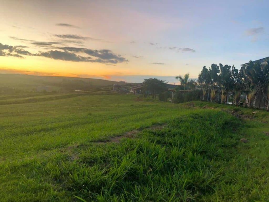 Foto 3 de 8: Terreno em leilão em Sertanópolis - PR — Lote, Padrão, 0 Vaga(S) de Garagem