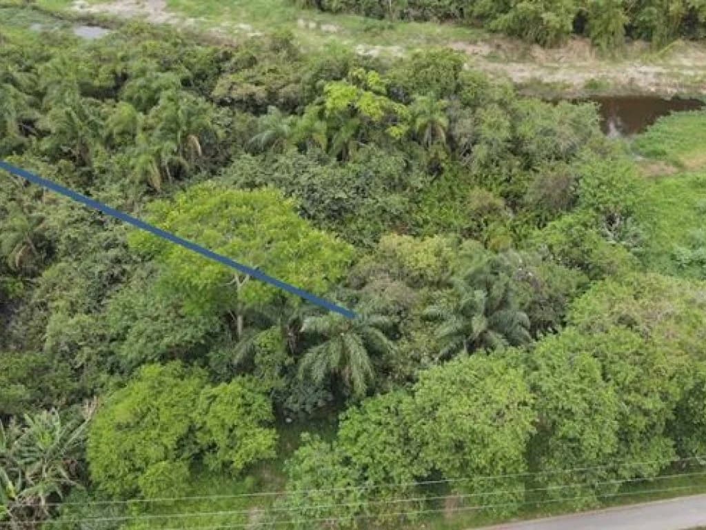 Foto 3 de 6: Terreno em leilão em Peruíbe - SP, bairro Nova Peruíbe — Terreno 250 m² (Lt. 23 da Qd. 11) - Nova Peruíbe - Peruíbe - SP