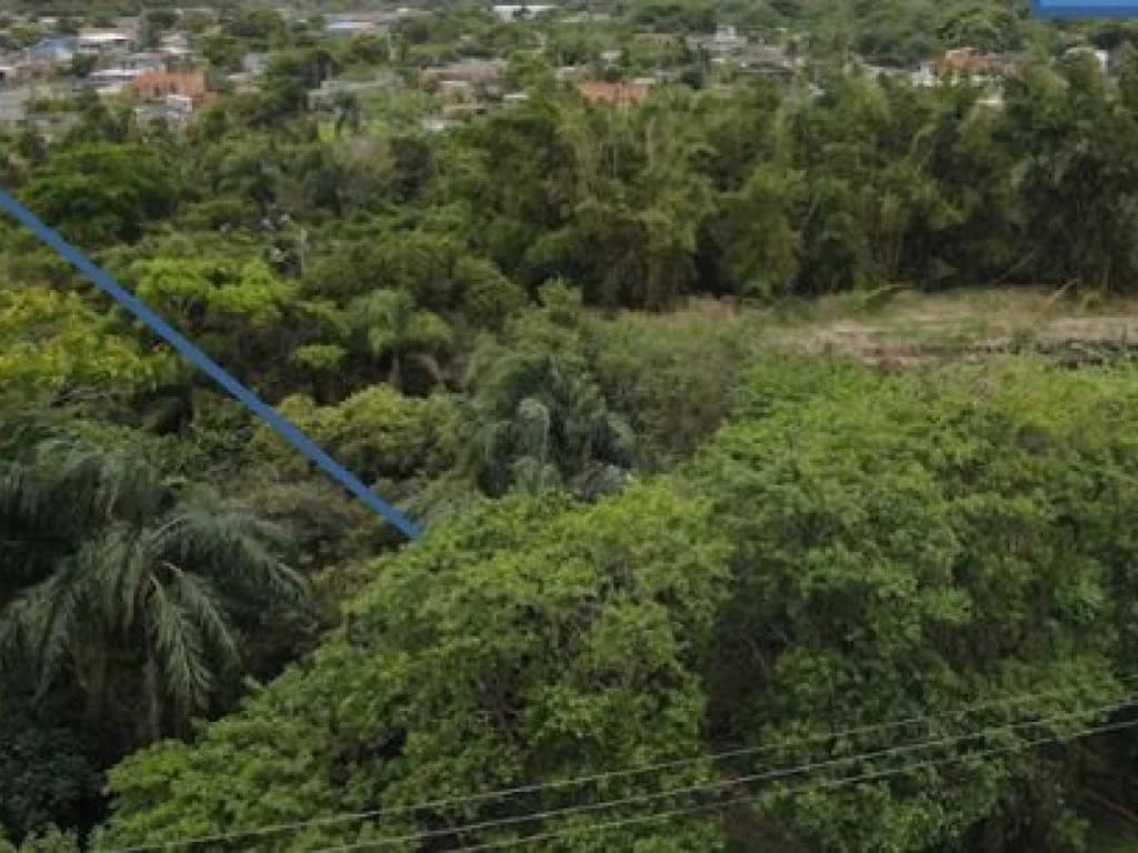 Foto 2 de 6: Terreno em leilão em Peruíbe - SP, bairro Nova Peruíbe — Terreno 250 m² (Lt. 23 da Qd. 11) - Nova Peruíbe - Peruíbe - SP
