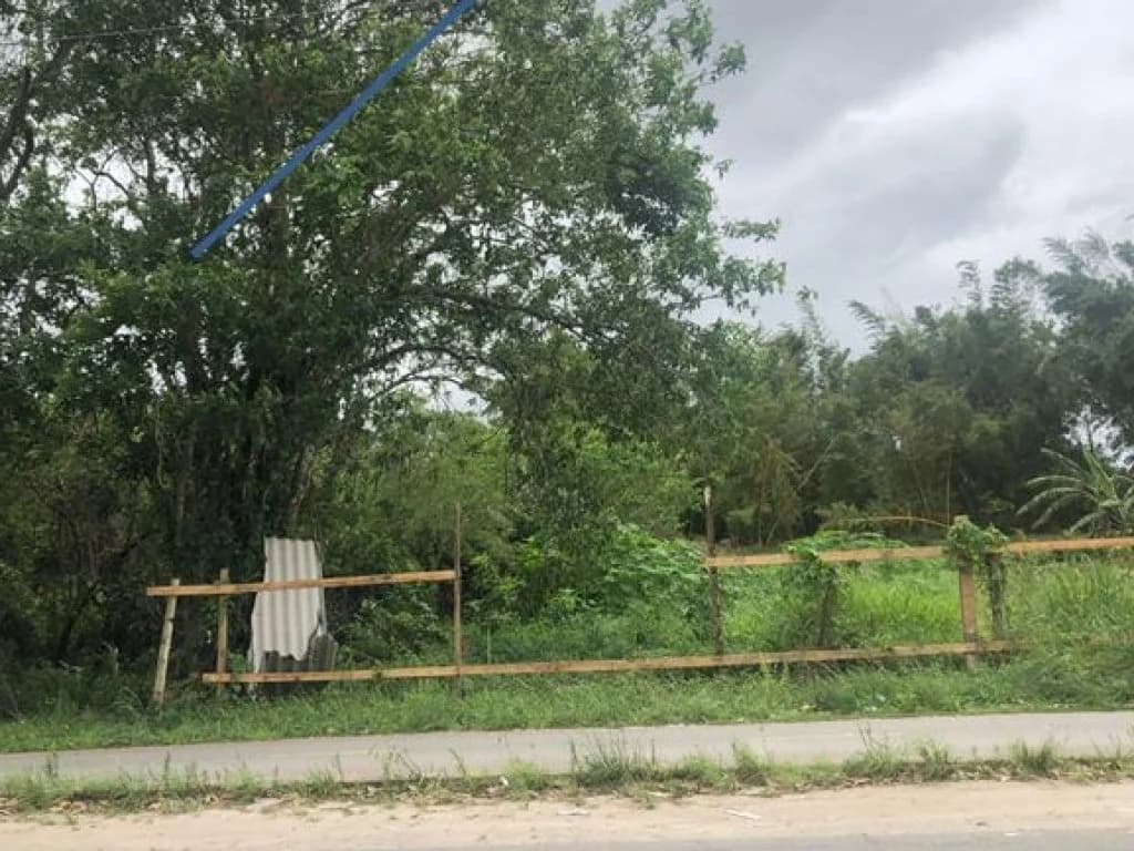 Foto 6 de 6: Terreno em leilão em Peruíbe - SP, bairro Nova Peruíbe — Terreno 250 m² (Lt. 23 da Qd. 11) - Nova Peruíbe - Peruíbe - SP
