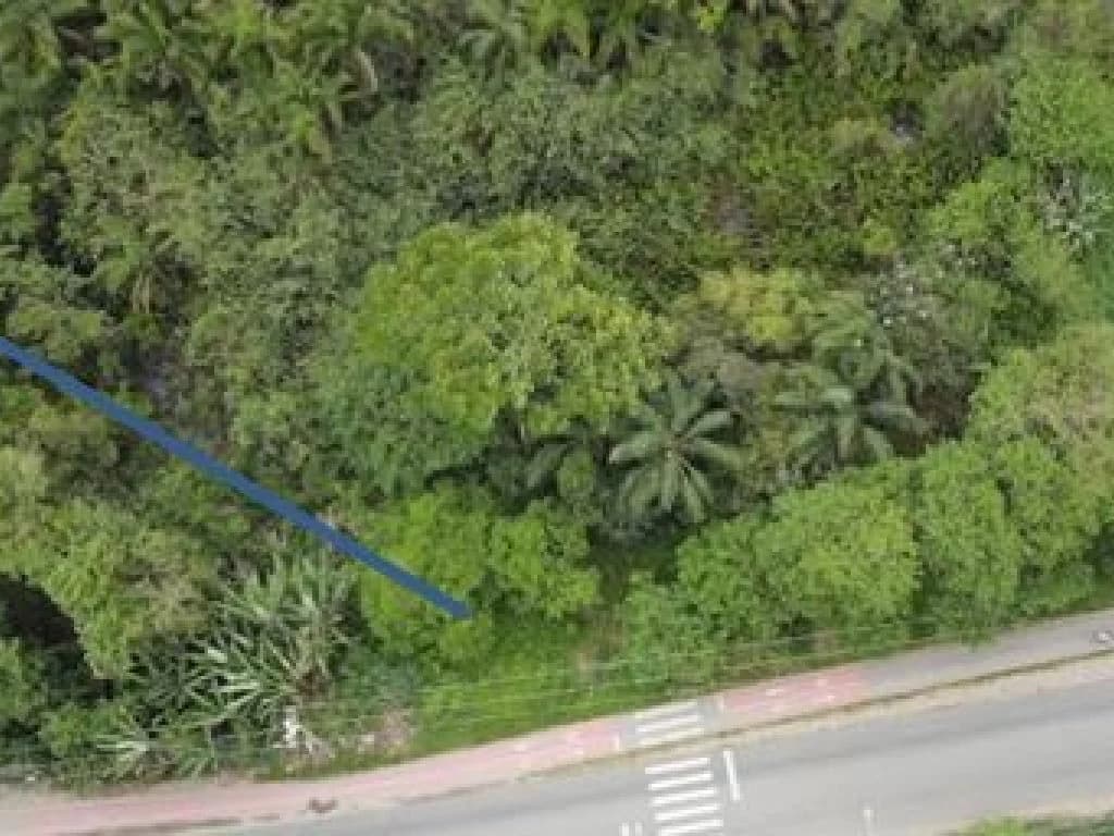 Foto 4 de 6: Terreno em leilão em Peruíbe - SP, bairro Nova Peruíbe — Terreno 250 m² (Lt. 27 da Qd. 11) - Nova Peruíbe - Peruíbe - SP