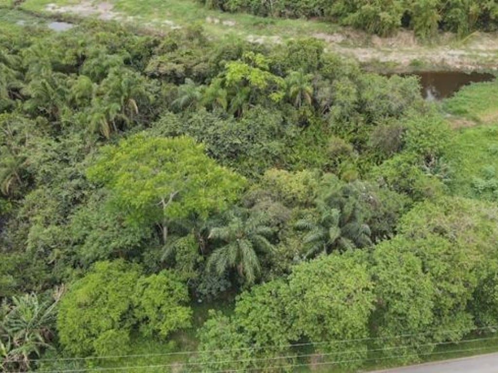 Foto 5 de 6: Terreno em leilão em Peruíbe - SP, bairro Nova Peruíbe — Terreno 250 m² (Lt. 36 da Qd. 11) - Nova Peruíbe - Peruíbe - SP