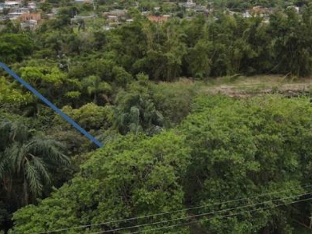 Foto 2 de 6: Terreno em leilão em Peruíbe - SP, bairro Nova Peruíbe — Terreno 250 m² (Lt. 36 da Qd. 11) - Nova Peruíbe - Peruíbe - SP