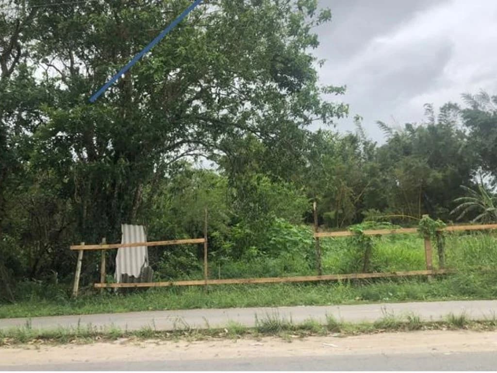 Foto 3 de 6: Terreno em leilão em Peruíbe - SP, bairro Nova Peruíbe — Terreno 250 m² (Lt. 37 da Qd. 11) - Nova Peruíbe - Peruíbe - SP