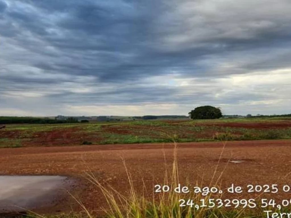 Foto 3 de 4: Terreno em leilão em Terra Roxa - PR — Lote, Rural, 0 Vaga(S) de Garagem