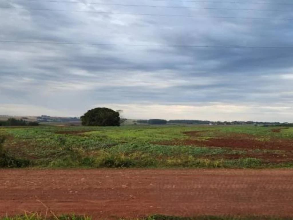 Foto 2 de 4: Terreno em leilão em Terra Roxa - PR — Lote, Rural, 0 Vaga(S) de Garagem