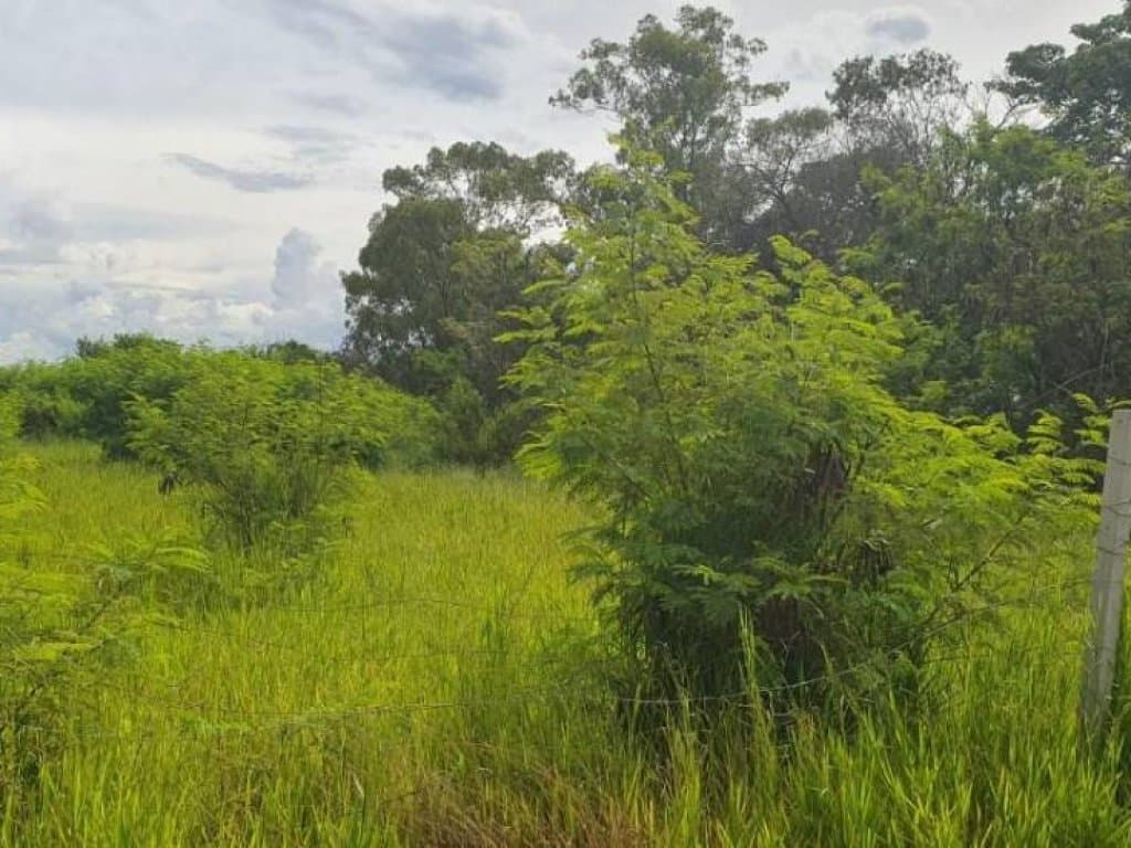 Foto 21 de 30: Terreno em leilão em Sorocaba - SP, bairro Itangua — Lote, Rural, 0 Vaga(S) de Garagem