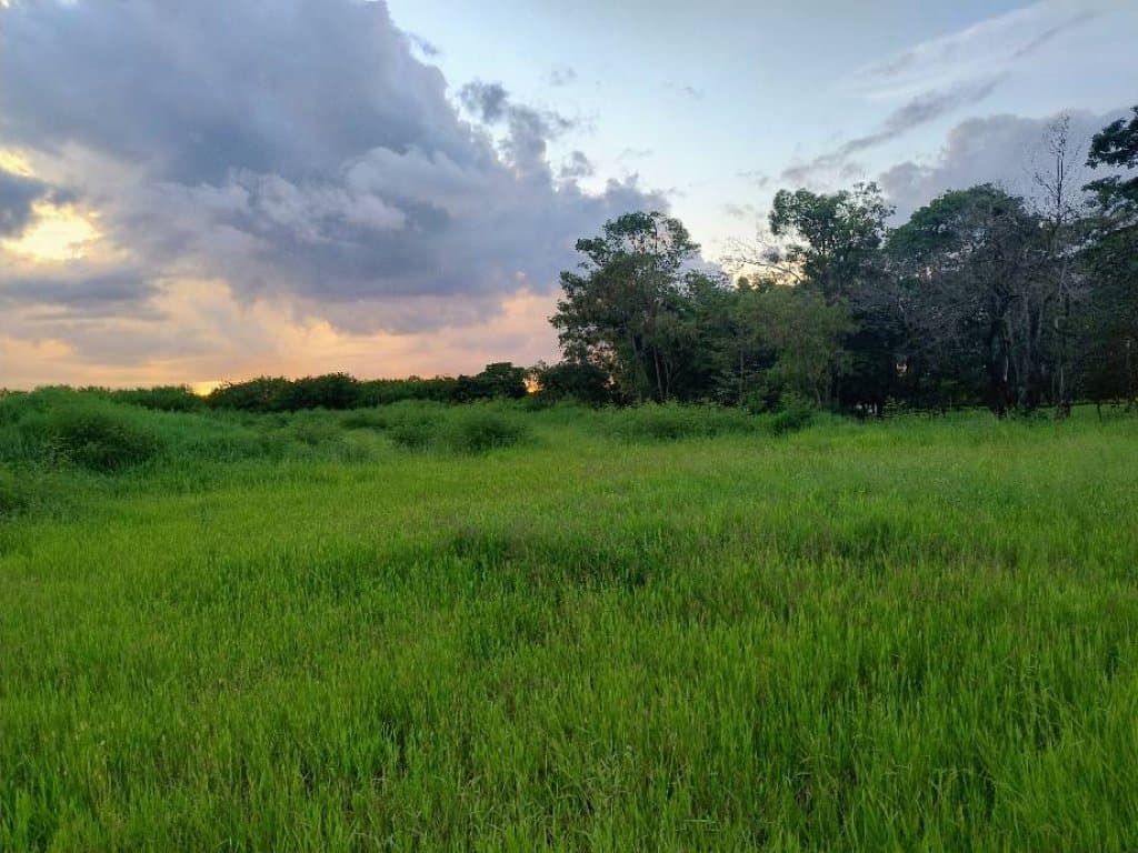 Foto 7 de 30: Terreno em leilão em Sorocaba - SP, bairro Itangua — Lote, Rural, 0 Vaga(S) de Garagem