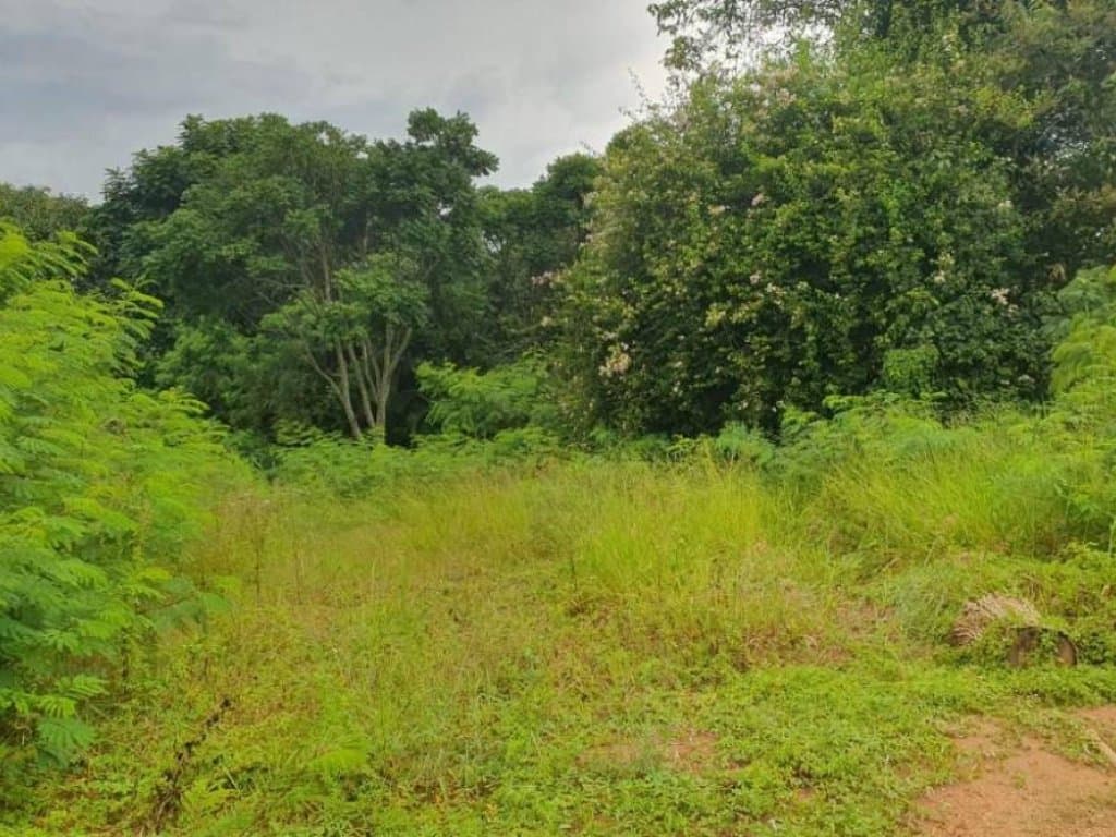 Foto 23 de 30: Terreno em leilão em Sorocaba - SP, bairro Itangua — Lote, Rural, 0 Vaga(S) de Garagem
