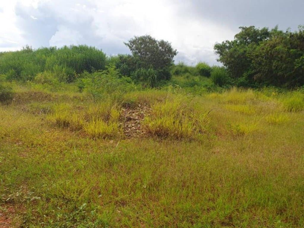 Foto 27 de 30: Terreno em leilão em Sorocaba - SP, bairro Itangua — Lote, Rural, 0 Vaga(S) de Garagem