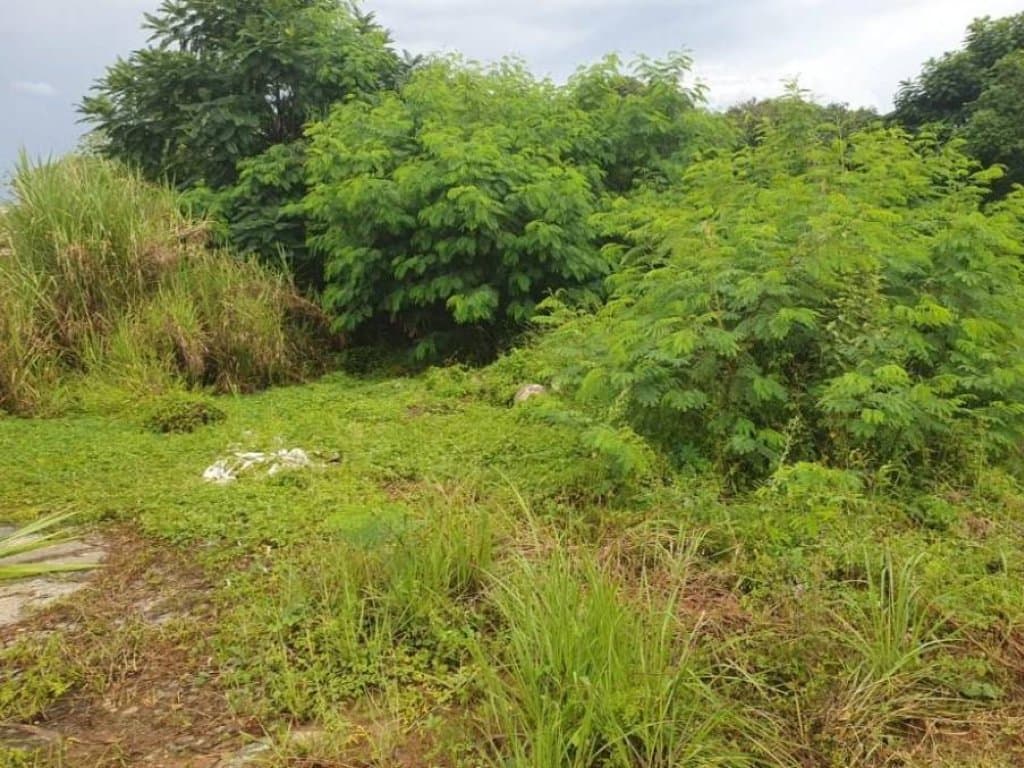 Foto 15 de 30: Terreno em leilão em Sorocaba - SP, bairro Itangua — Lote, Rural, 0 Vaga(S) de Garagem