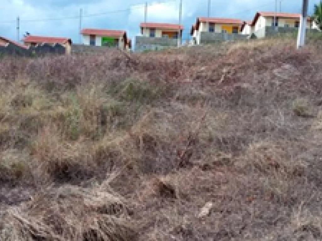 Foto 2 de 3: Terreno em leilão em Timbaúba - PE — 04 Terrenos 360 m² (cada) - Loteamento Araruna II - Timbaúba - PE