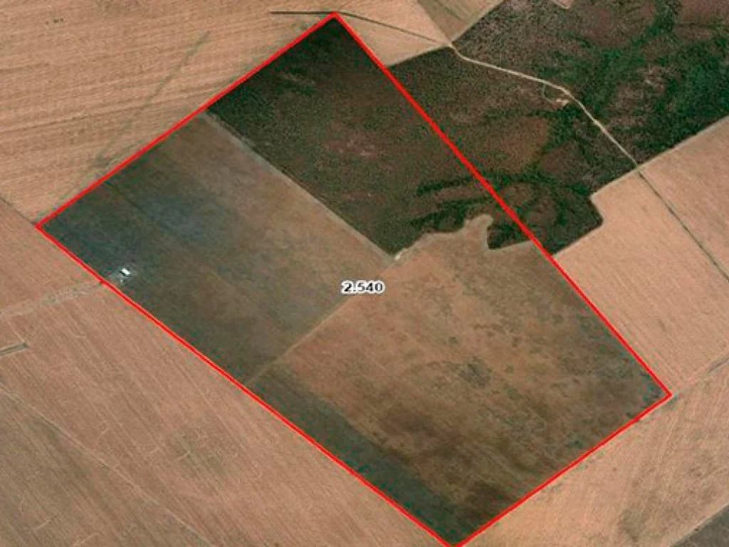 Foto 1 de 3: Area Rural em leilão em Loreto - MA — Imóvel Rural com Área de 555 ha (Fazenda Lírios dos Campos) - Loreto - MA