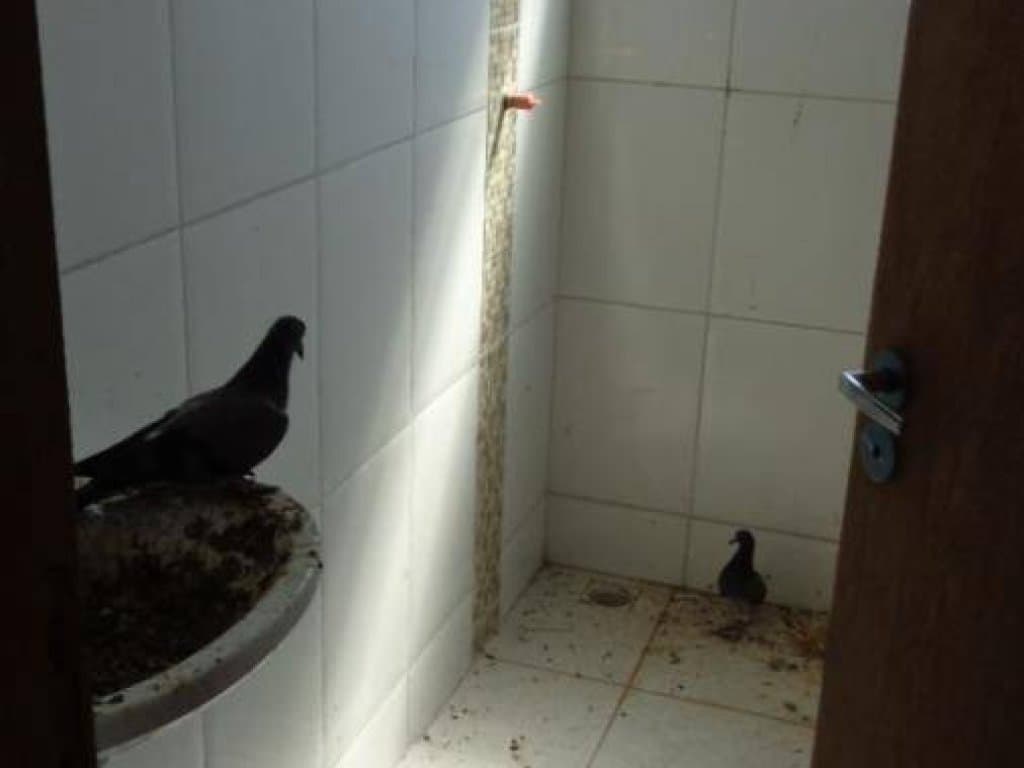 Foto 6 de 24: Apartamento em leilão em Jarinu - SP, bairro Vila Nova Trieste — Apartamento 59 m² (01 vaga) - Vila Nova Trieste - Jarinu - SP