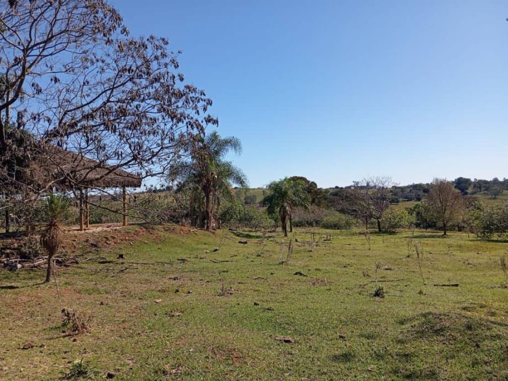 Foto 19 de 37: Terreno em leilão em Pérola - PR, bairro Perola — Lote, Padrão, 0 Vaga(S) de Garagem