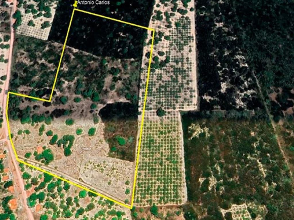 Area Rural em leilão em Beberibe - CE, bairro Distrito Serra do Félix — Sítio 11 ha - Beberibe-CE - Sítio Surubim - Serra do Félix