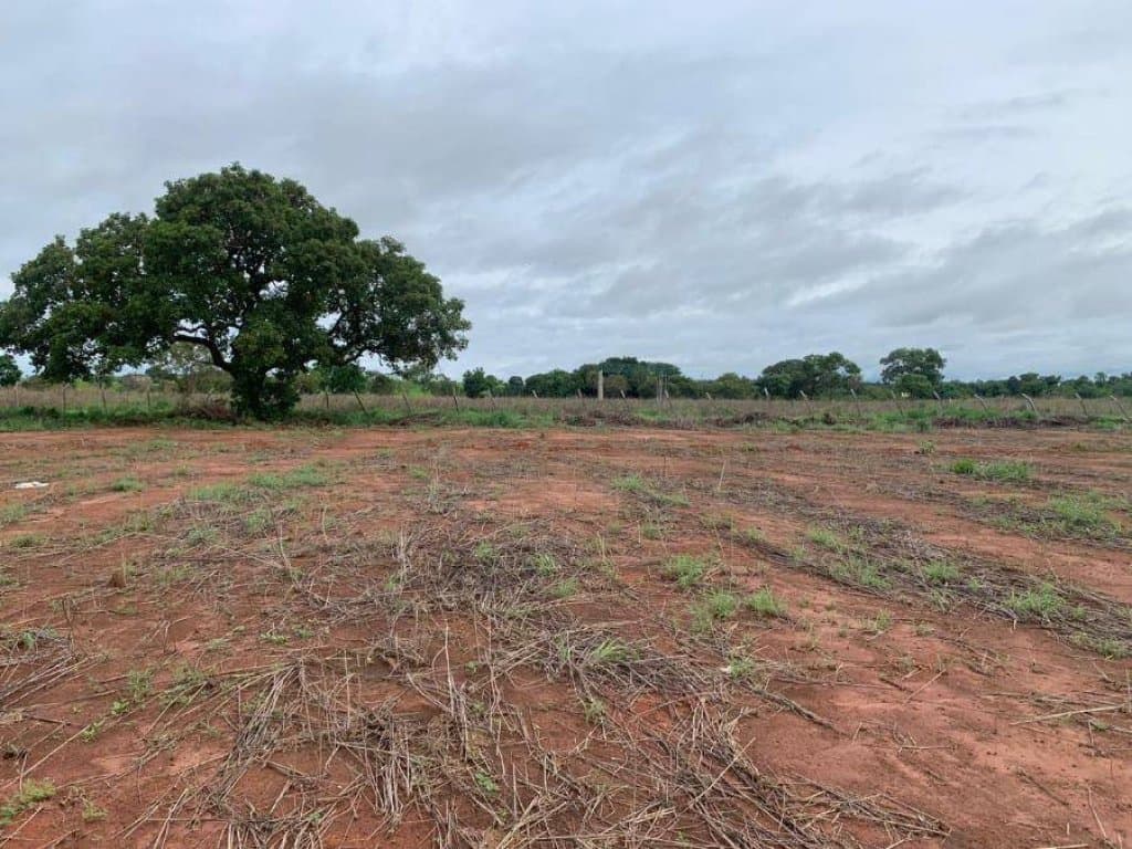 Foto 1 de 22: Terreno em leilão em Porto Nacional - TO, bairro Jardim América — Área com 3.040 m² - Jardim América - Porto Nacional - TO
