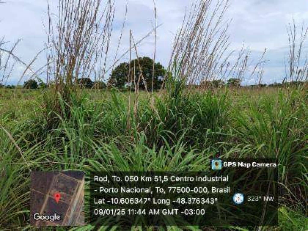 Foto 12 de 22: Terreno em leilão em Porto Nacional - TO, bairro Jardim América — Área com 3.040 m² - Jardim América - Porto Nacional - TO
