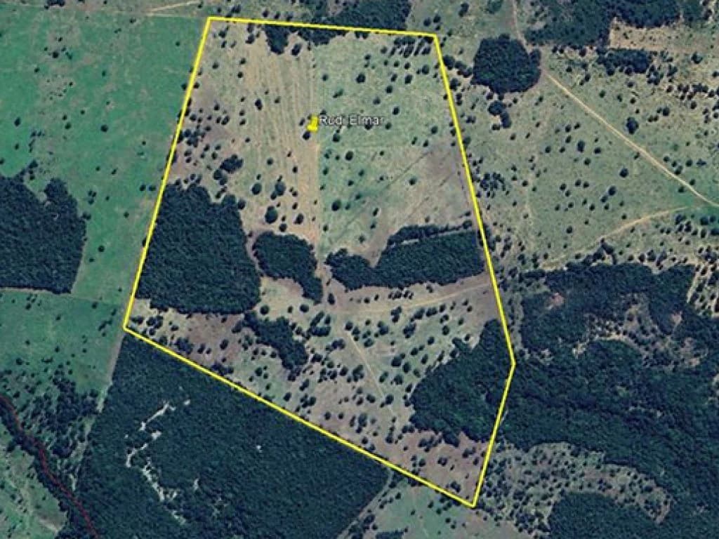 Area Rural em leilão em Cariri Do Tocantins - TO, bairro Zona Rural — Área Rural 74 ha - Cariri do Tocantins-TO - Fazenda Santo Antônio - Gleba 05 - Zona Rural