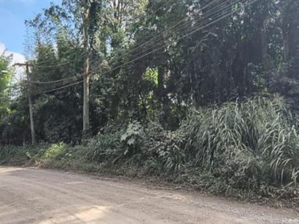 Foto 4 de 4: Terreno em leilão em Suzano - SP, bairro Guaió — Área com 15.000 m² (Gleba B) - Guaió - Suzano - SP