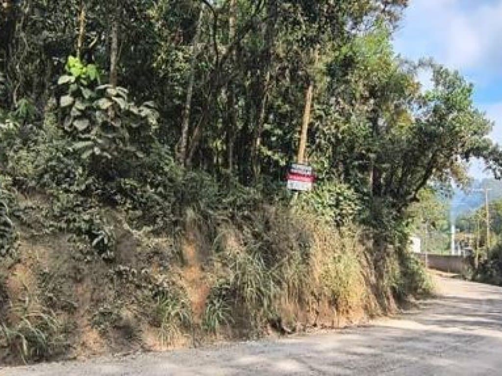 Foto 3 de 4: Terreno em leilão em Suzano - SP, bairro Guaió — Área com 15.000 m² (Gleba B) - Guaió - Suzano - SP