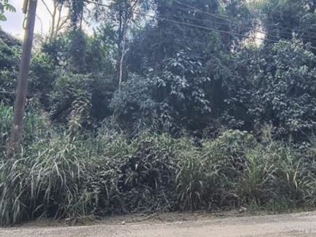 Foto 2 de 4: Terreno em leilão em Suzano - SP, bairro Guaió — Área com 15.000 m² (Gleba B) - Guaió - Suzano - SP