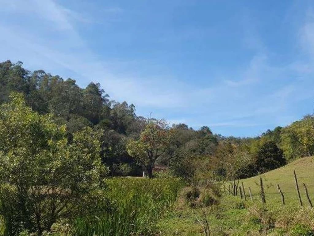 Foto 3 de 26: Area Rural em leilão em Jarinu - SP, bairro Caioçara — Fazenda 242.000 m² - Caioçara - Jarinu - SP
