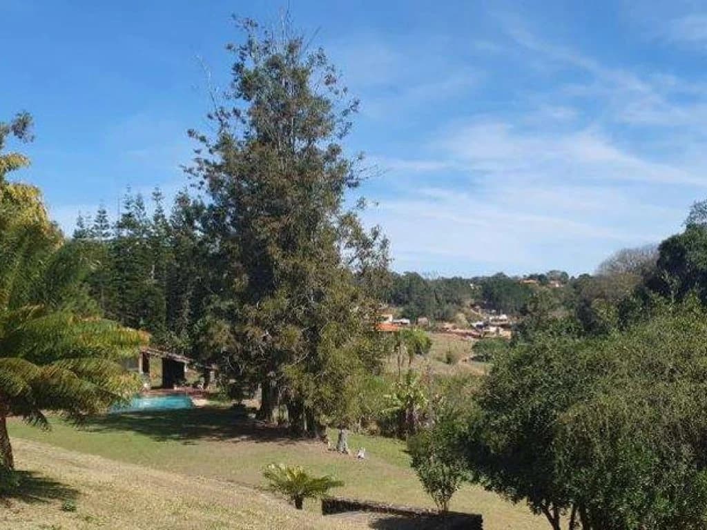 Foto 21 de 26: Area Rural em leilão em Jarinu - SP, bairro Caioçara — Fazenda 242.000 m² - Caioçara - Jarinu - SP