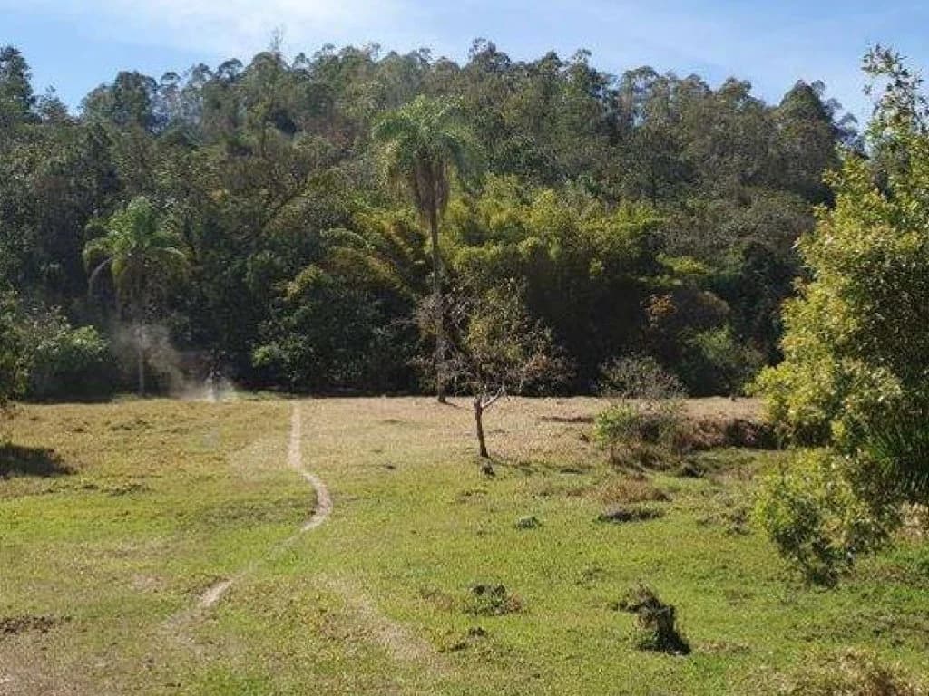 Foto 4 de 26: Area Rural em leilão em Jarinu - SP, bairro Caioçara — Fazenda 242.000 m² - Caioçara - Jarinu - SP