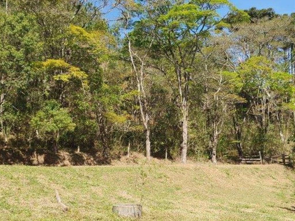 Foto 10 de 26: Area Rural em leilão em Jarinu - SP, bairro Caioçara — Fazenda 242.000 m² - Caioçara - Jarinu - SP