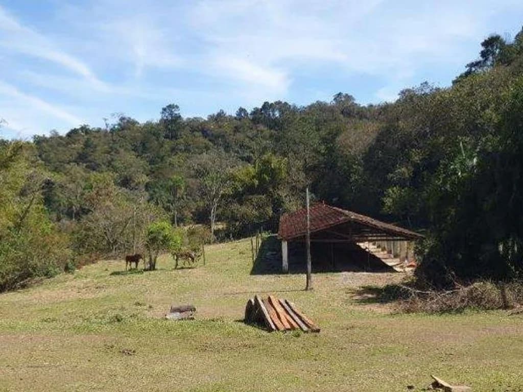 Foto 13 de 26: Area Rural em leilão em Jarinu - SP, bairro Caioçara — Fazenda 242.000 m² - Caioçara - Jarinu - SP