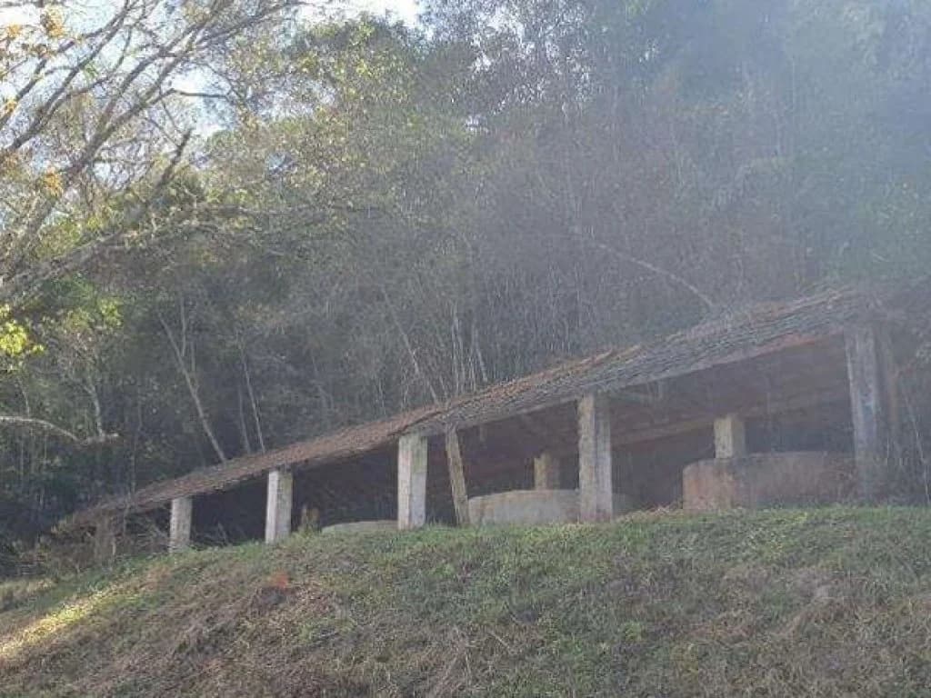 Foto 9 de 26: Area Rural em leilão em Jarinu - SP, bairro Caioçara — Fazenda 242.000 m² - Caioçara - Jarinu - SP