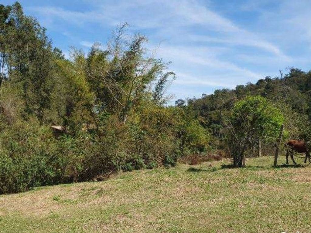 Foto 11 de 26: Area Rural em leilão em Jarinu - SP, bairro Caioçara — Fazenda 242.000 m² - Caioçara - Jarinu - SP