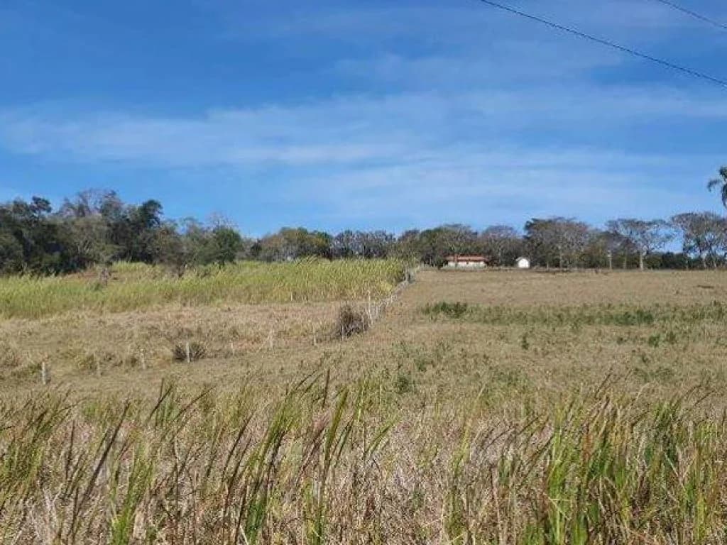 Foto 26 de 26: Area Rural em leilão em Jarinu - SP, bairro Caioçara — Fazenda 242.000 m² - Caioçara - Jarinu - SP