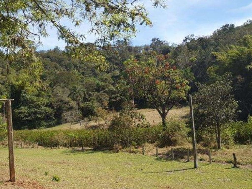 Foto 18 de 26: Area Rural em leilão em Jarinu - SP, bairro Caioçara — Fazenda 242.000 m² - Caioçara - Jarinu - SP