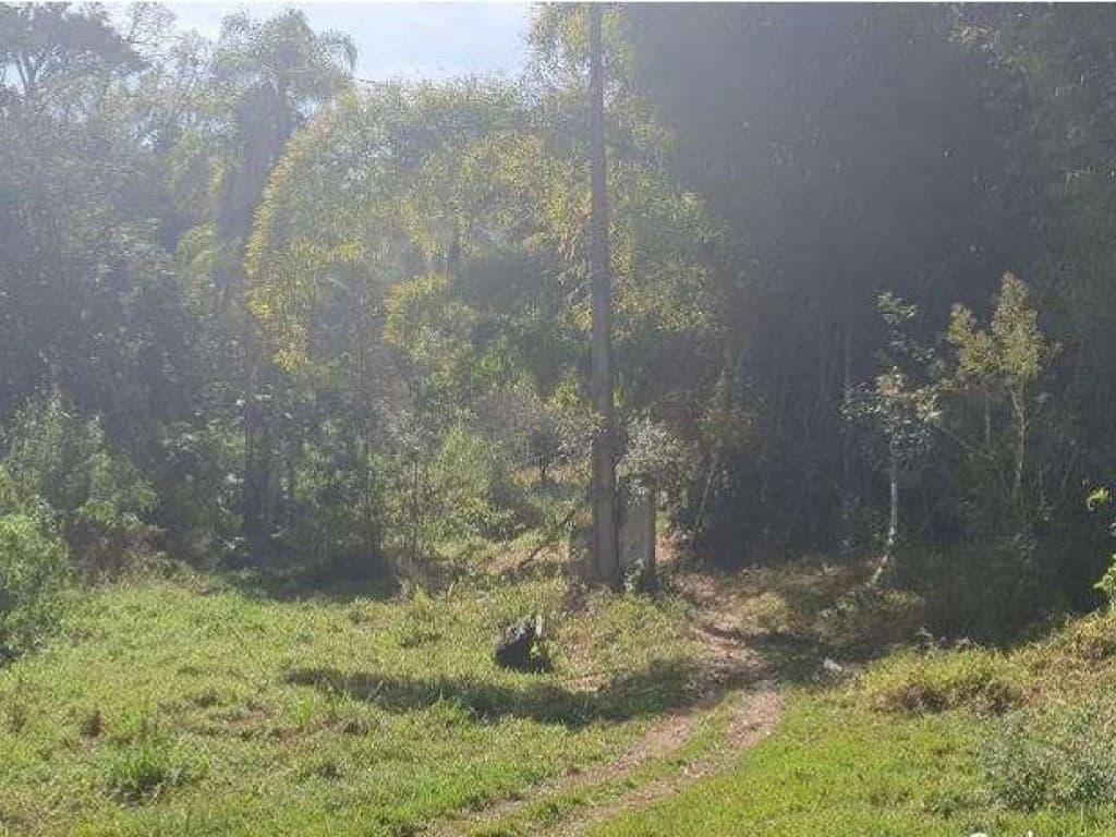 Foto 23 de 26: Area Rural em leilão em Jarinu - SP, bairro Caioçara — Fazenda 242.000 m² - Caioçara - Jarinu - SP
