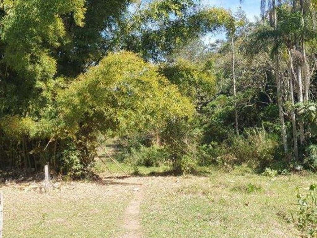 Foto 5 de 26: Area Rural em leilão em Jarinu - SP, bairro Caioçara — Fazenda 242.000 m² - Caioçara - Jarinu - SP