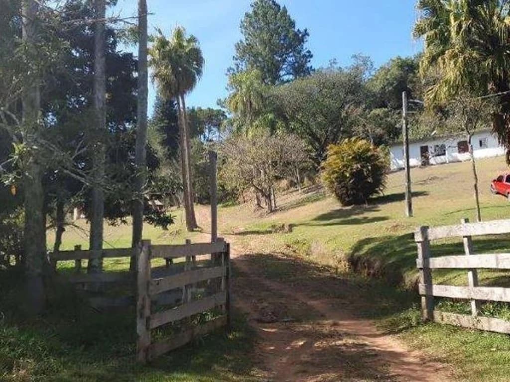 Foto 24 de 26: Area Rural em leilão em Jarinu - SP, bairro Caioçara — Fazenda 242.000 m² - Caioçara - Jarinu - SP