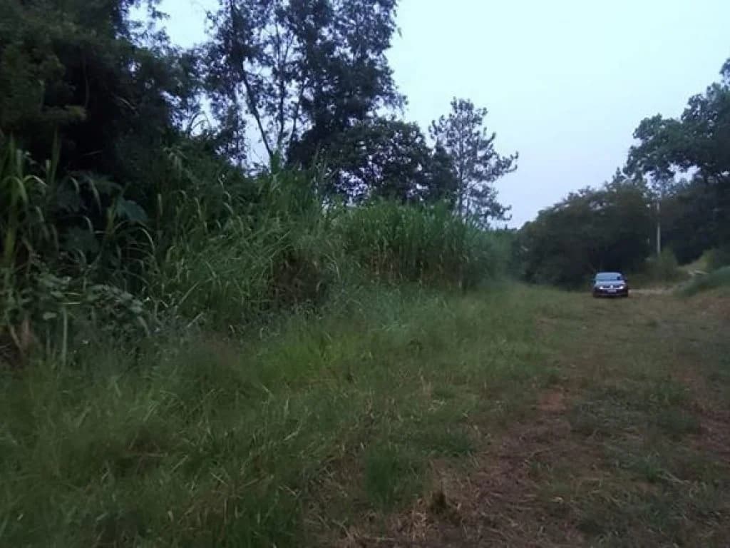 Foto 9 de 13: Terreno em leilão em Atibaia - SP, bairro Maracanã — Terreno 1.420 m² - Estância San Remo - Atibaia - SP