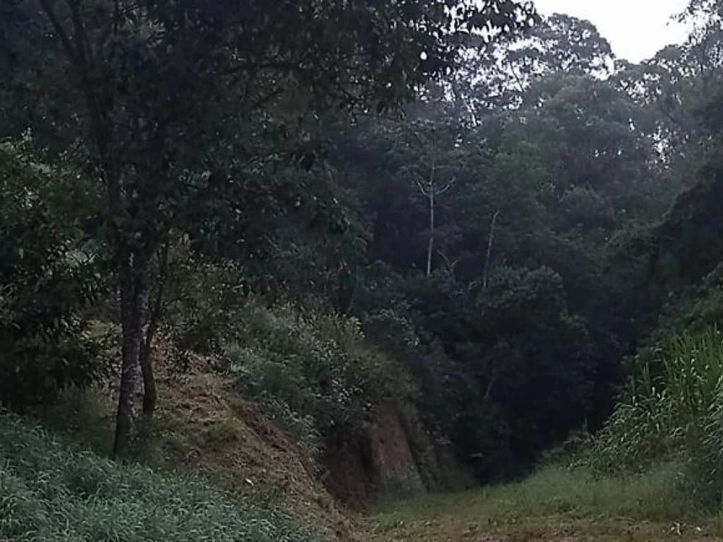 Foto 2 de 13: Terreno em leilão em Atibaia - SP, bairro Maracanã — Terreno 1.420 m² - Estância San Remo - Atibaia - SP