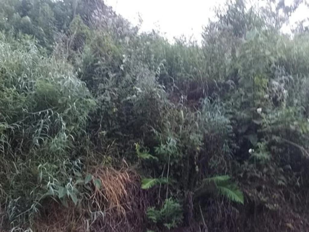 Foto 3 de 13: Terreno em leilão em Atibaia - SP, bairro Maracanã — Terreno 1.420 m² - Estância San Remo - Atibaia - SP