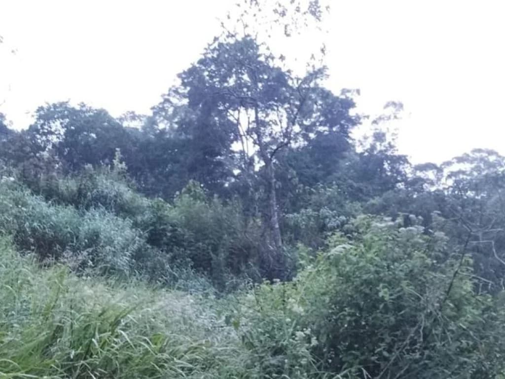 Foto 4 de 13: Terreno em leilão em Atibaia - SP, bairro Maracanã — Terreno 1.420 m² - Estância San Remo - Atibaia - SP