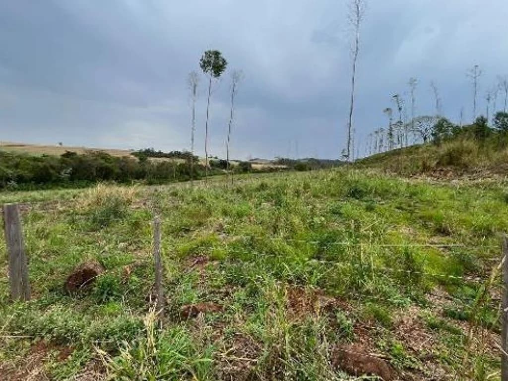 Foto 7 de 10: Area Rural em leilão em Medianeira - PR, bairro Rural — Área Rural 124.233 m² - Rural - Medianeira - PR