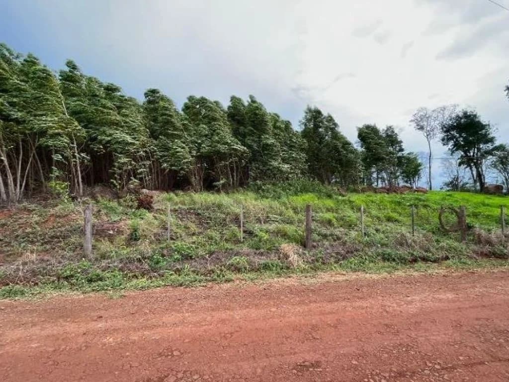 Foto 3 de 10: Area Rural em leilão em Medianeira - PR, bairro Rural — Área Rural 124.233 m² - Rural - Medianeira - PR