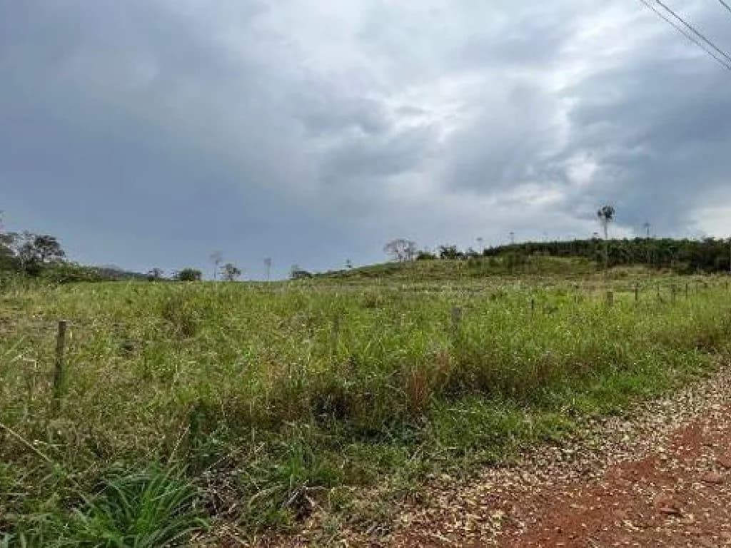 Foto 9 de 10: Area Rural em leilão em Medianeira - PR, bairro Rural — Área Rural 124.233 m² - Rural - Medianeira - PR