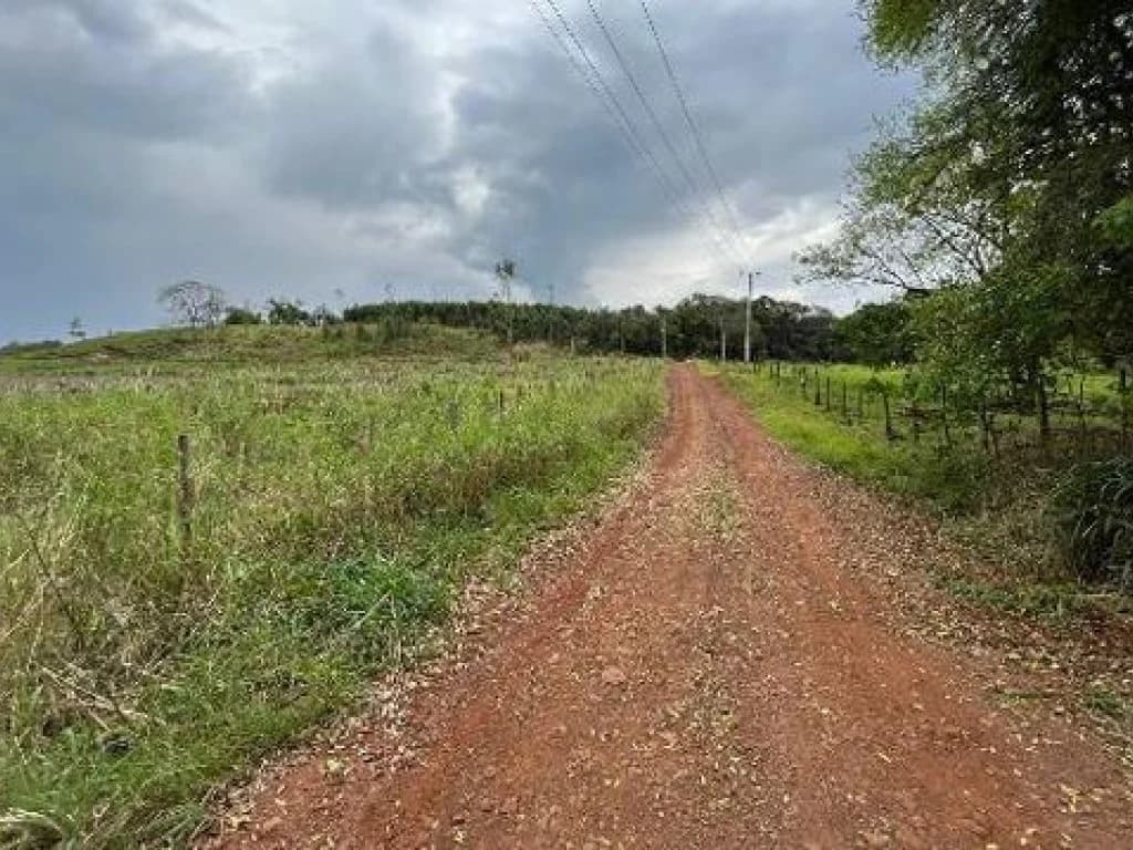 Foto 8 de 10: Area Rural em leilão em Medianeira - PR, bairro Rural — Área Rural 124.233 m² - Rural - Medianeira - PR