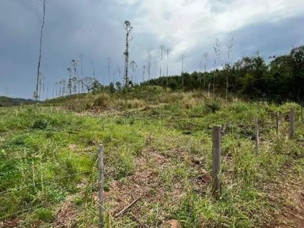 Foto 10 de 10: Area Rural em leilão em Medianeira - PR, bairro Rural — Área Rural 124.233 m² - Rural - Medianeira - PR