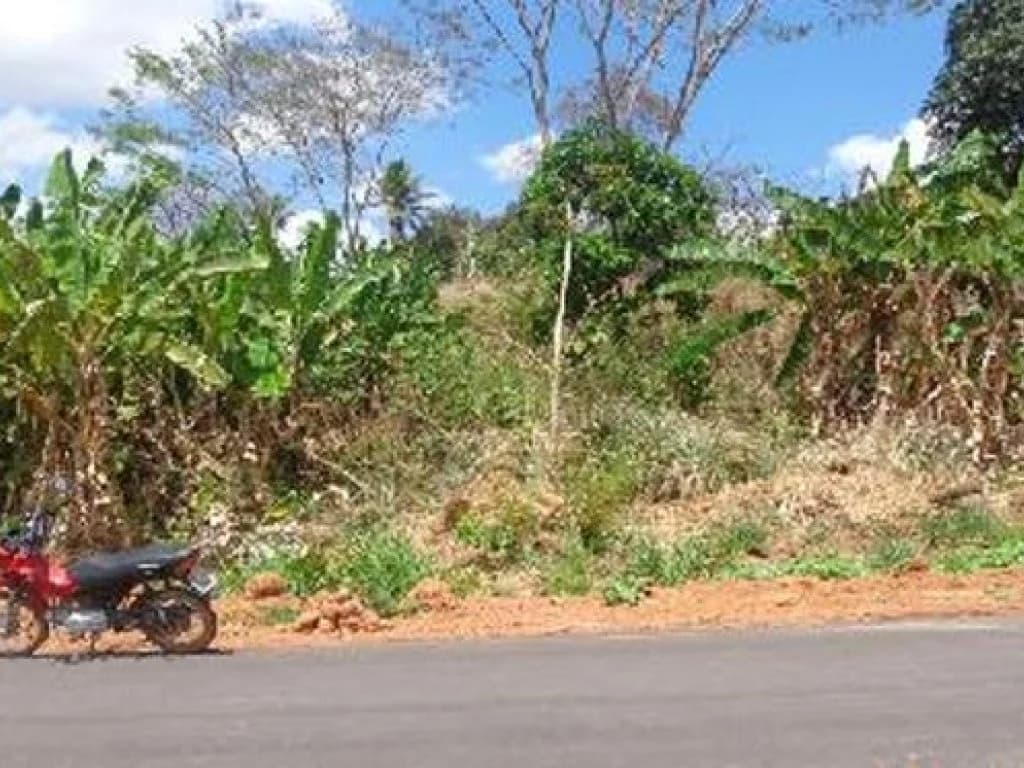 Foto 1 de 8: Terreno em leilão em Sítio Novo - MA, bairro Centro — Terreno 600 m² - Centro - Sítio Novo - MA