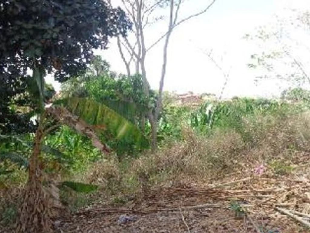 Foto 6 de 8: Terreno em leilão em Sítio Novo - MA, bairro Centro — Terreno 600 m² - Centro - Sítio Novo - MA